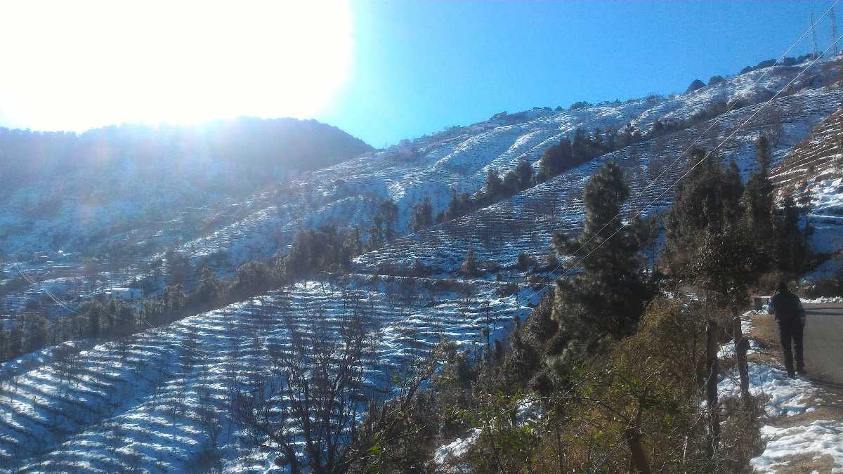 Snow in terrace farming