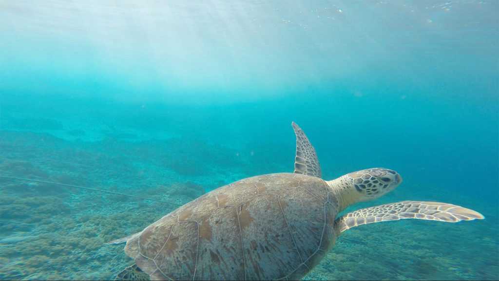 Solar Sea Walk, Mauritius