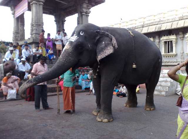 History of Srikalahasti