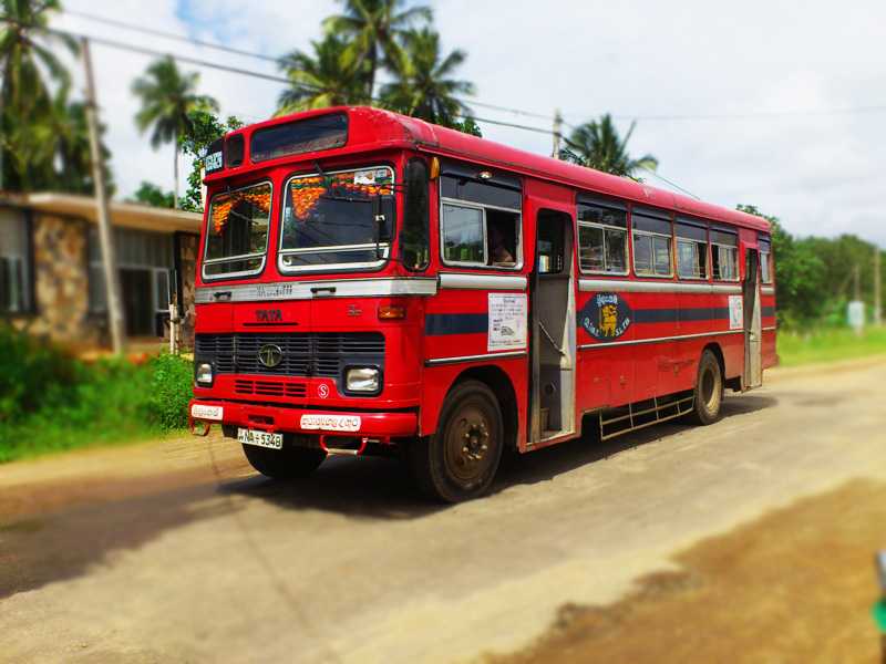 trip bus sri lanka