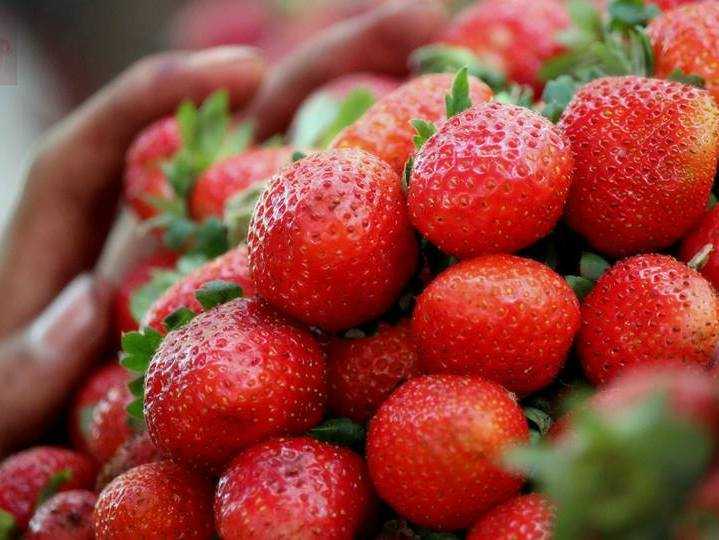 Mahabaleshwar Strawberries