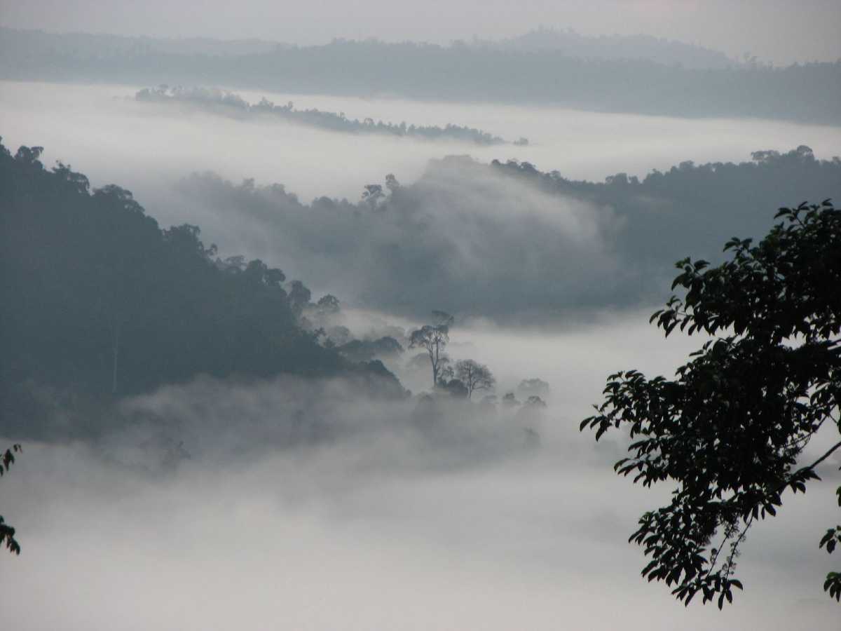 Danum Valley, Malaysia