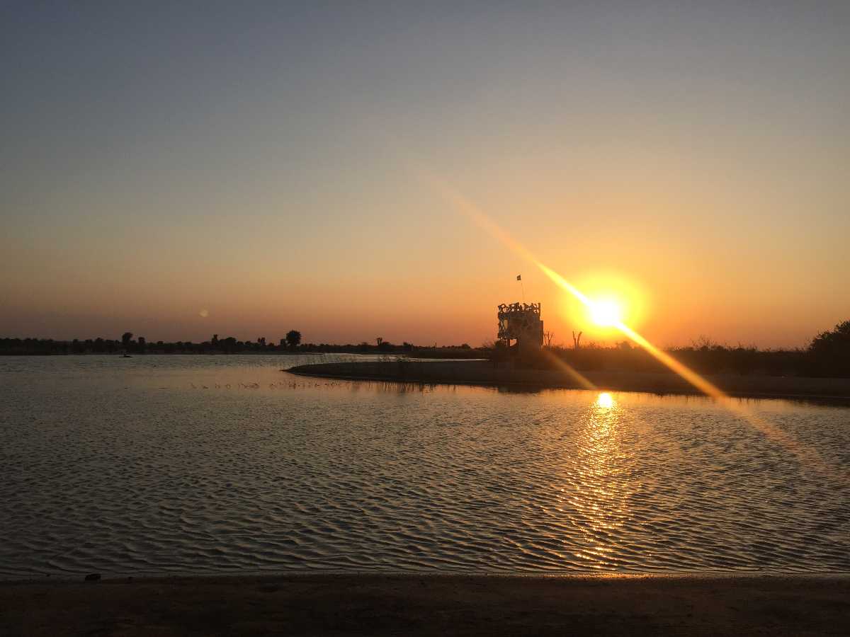 Al Warsan Lake is one of the best artificial lakes in Dubai 