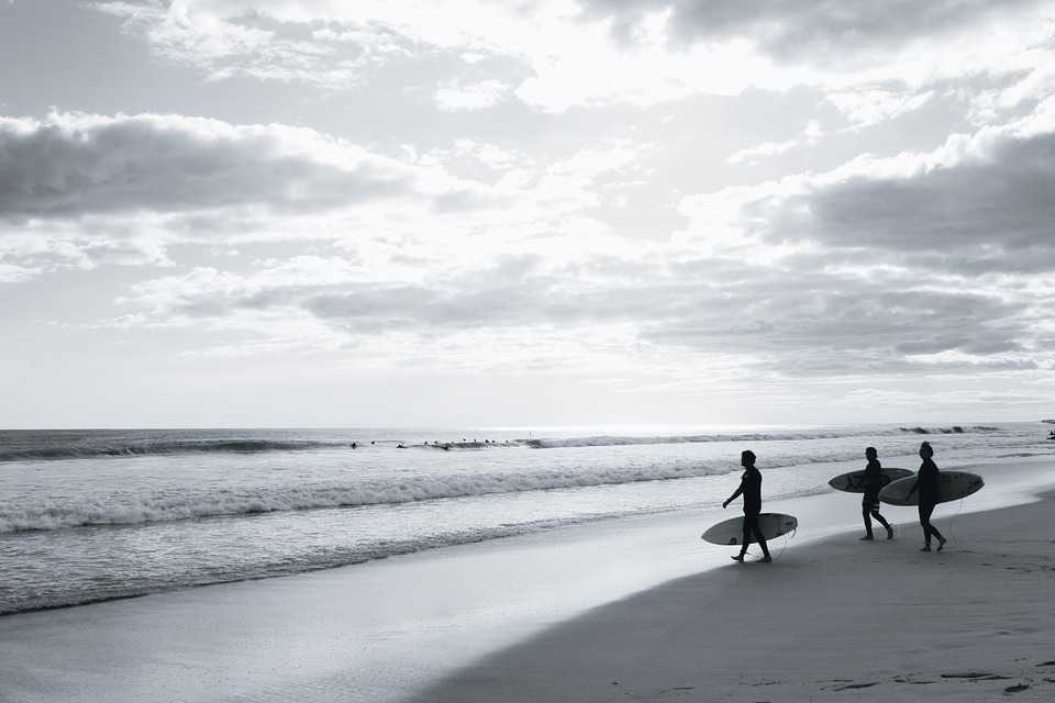 Surfers