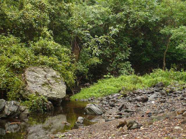 A dried up stream of Suruli Falls