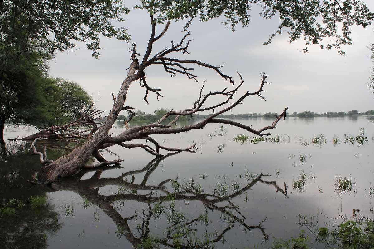 Thol Lake 