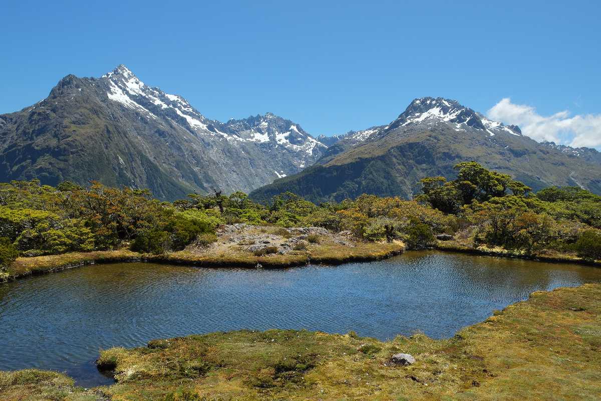 New Zealand in December Weather Things to Do Where to Go