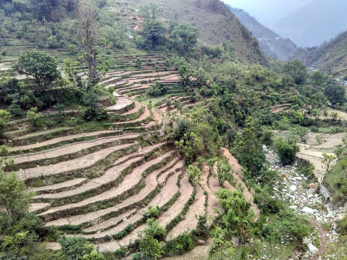 kumaoni khari holi free download