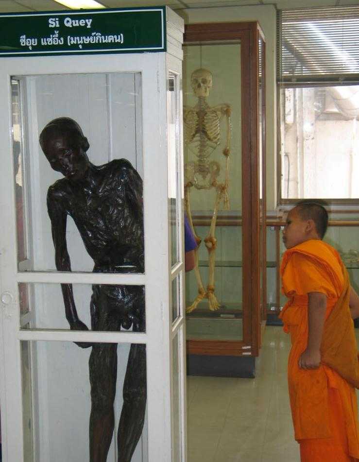 Mummified Remains of an Ex-Serial Killer at Siriraj Medical Museum in Thailand