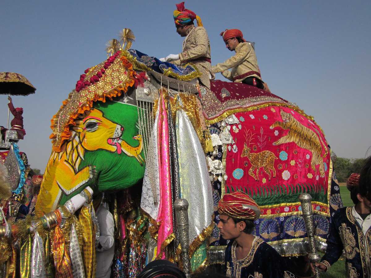Elephant festival clearance