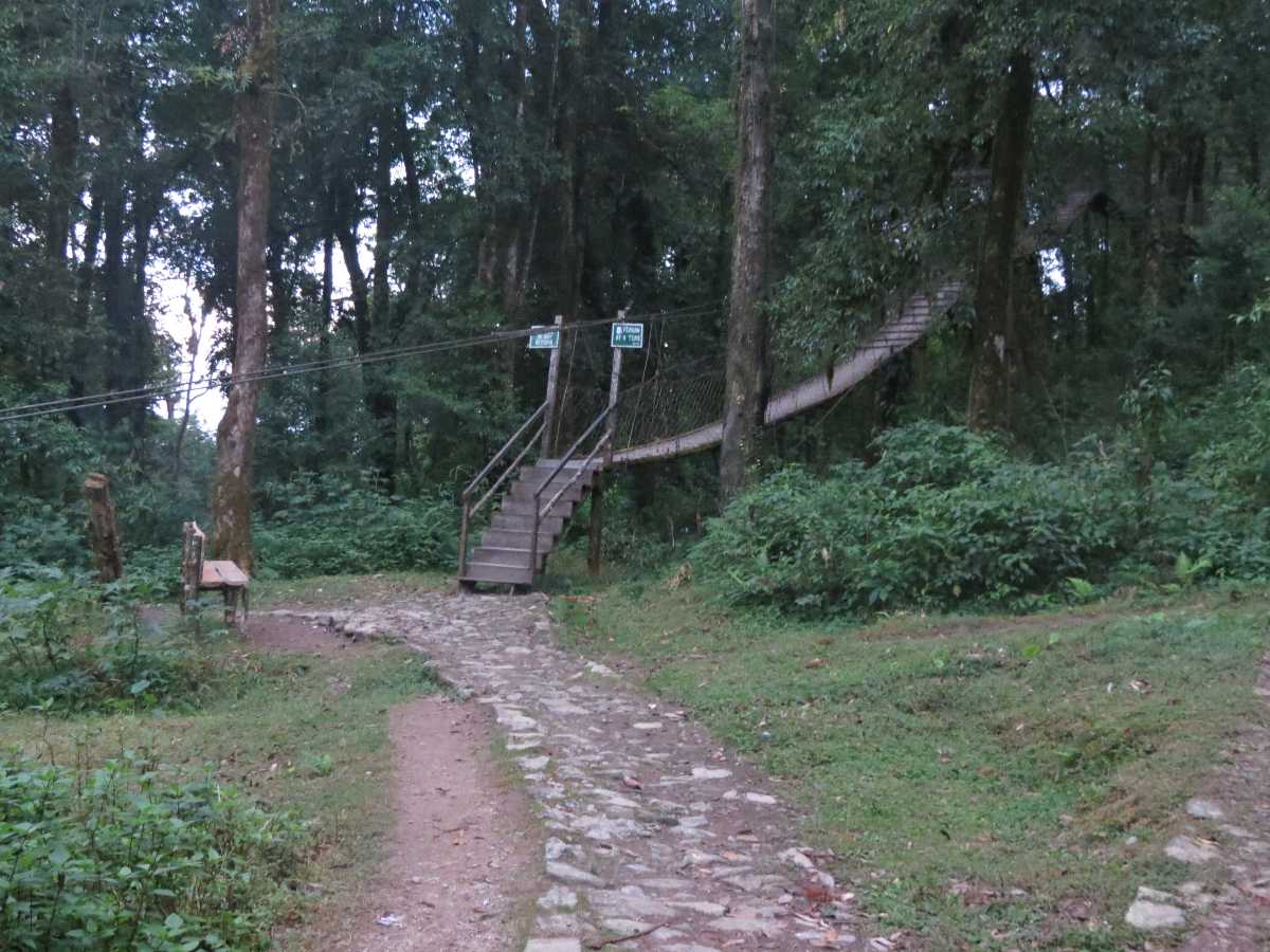 Hanging garden in Lolegaon