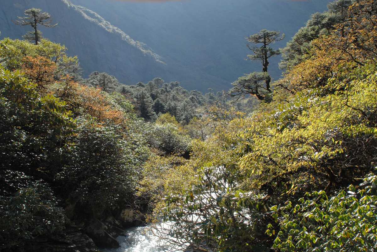 Makalu-Barun National Park, National Parks in Nepal