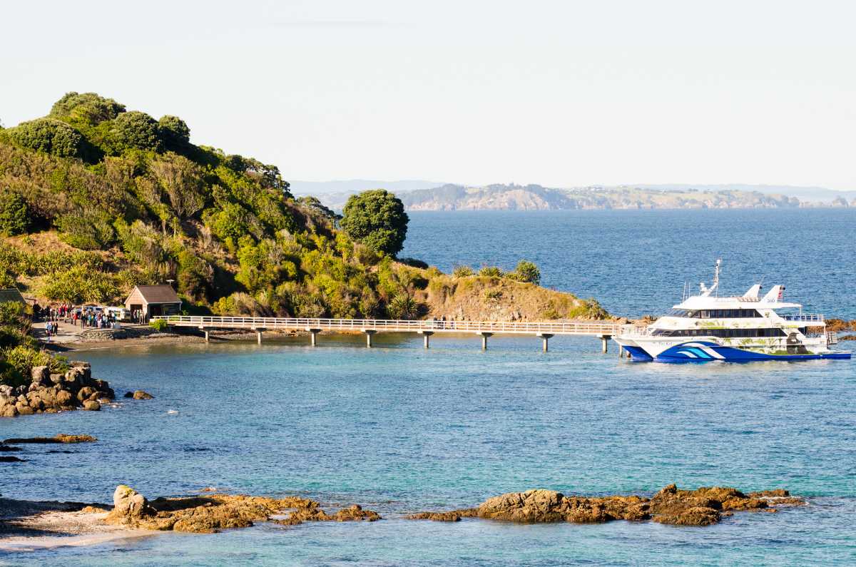 Tiritiri Matangi Island