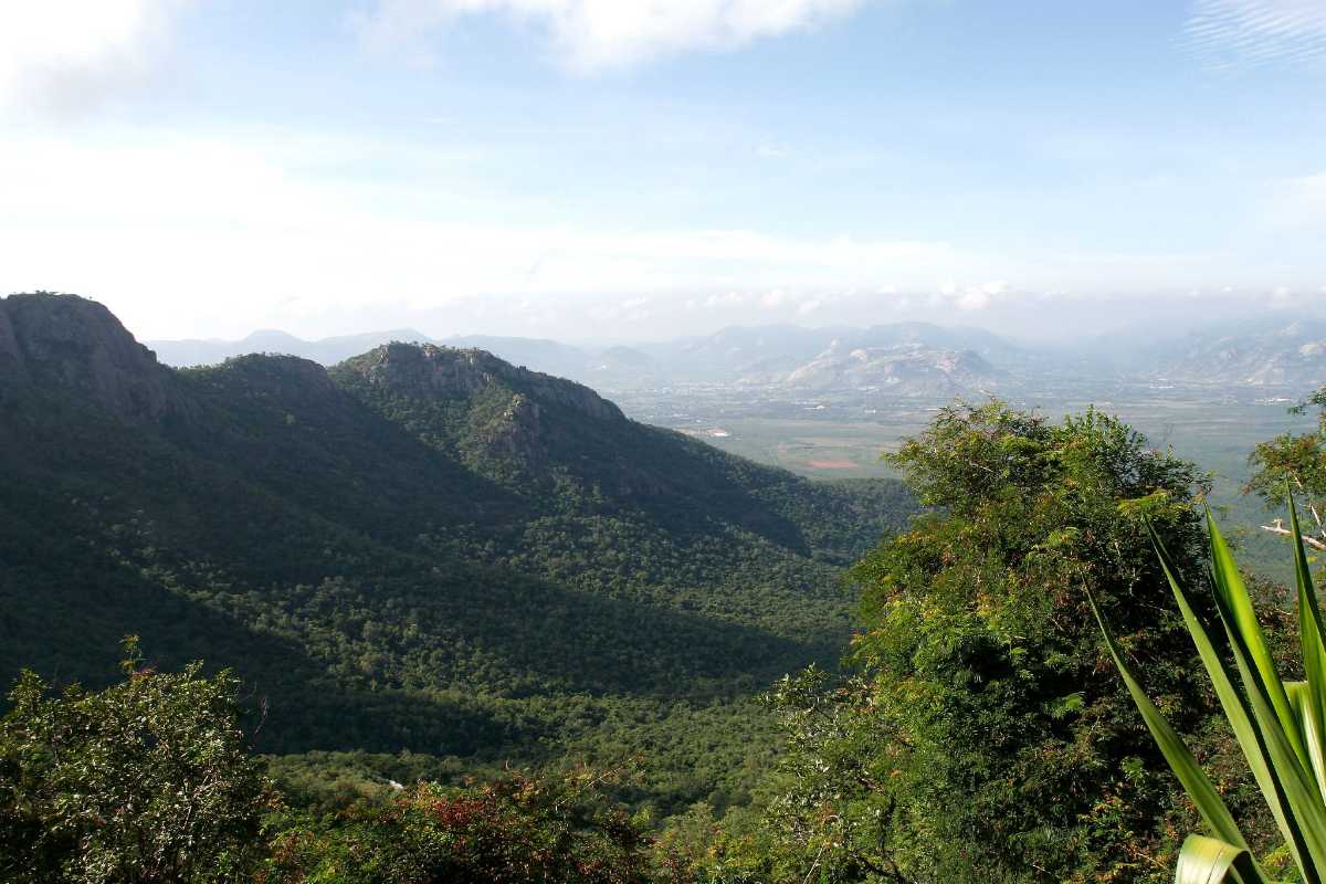 Tirumala View