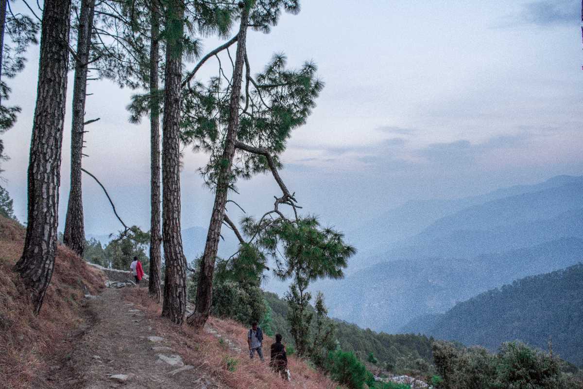 Trek Route in Binsar Wildlife Sanctuary