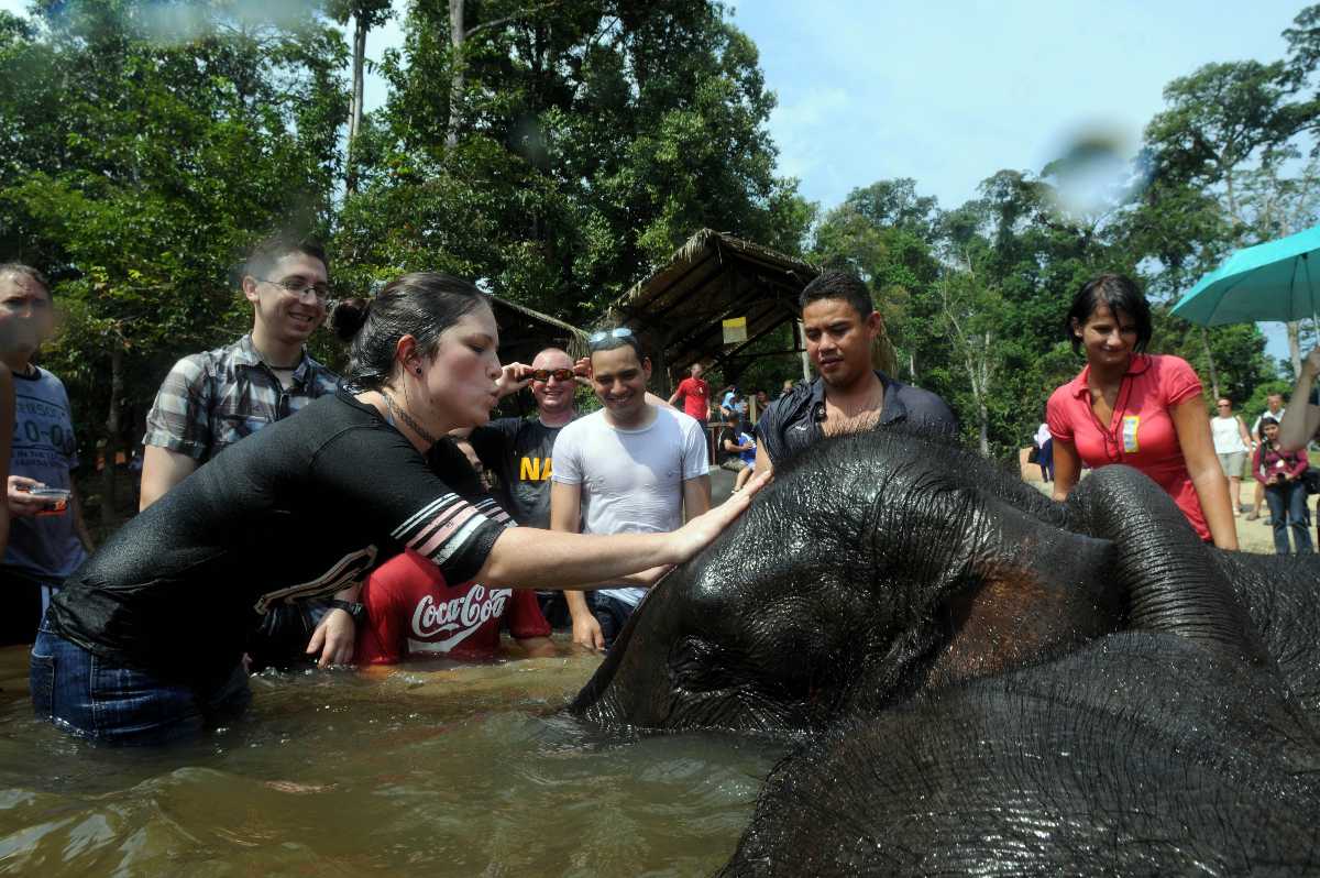 Kuala Gandah Elephant Conservation Centre, Pahang