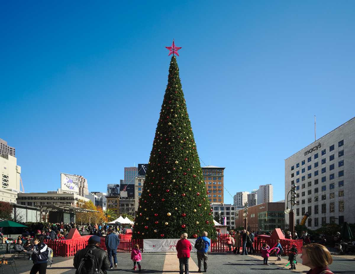 Celebrate Christmas at Union Square San Francisco - Golden Gate