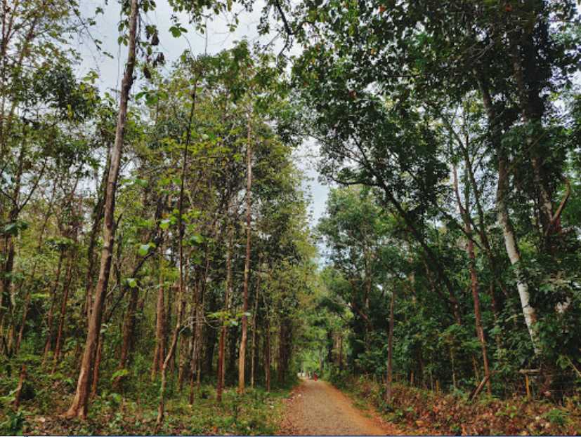 Trekking at Paniyeli Poru