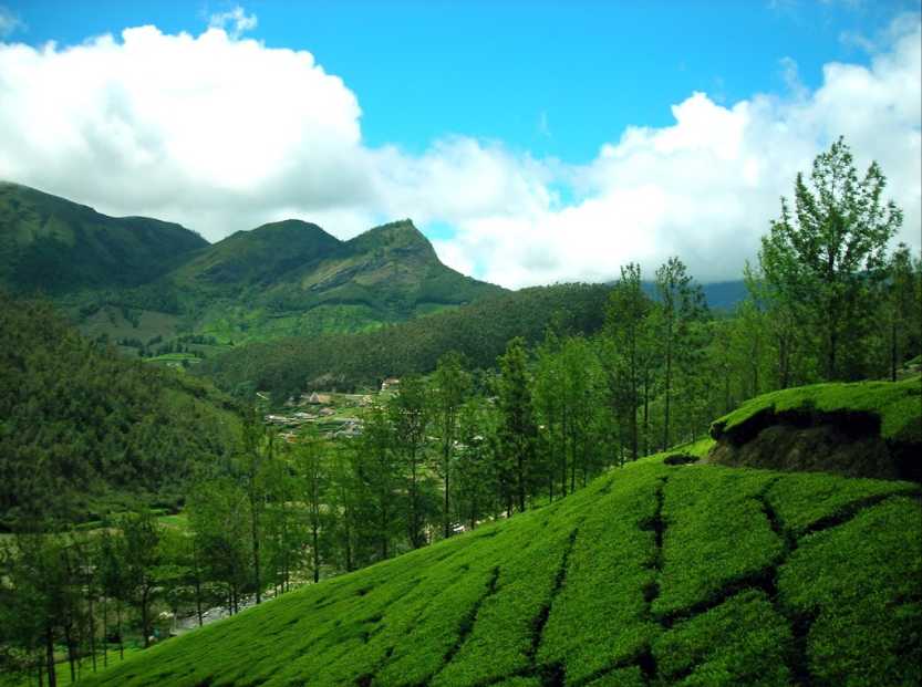 munnar trip in july