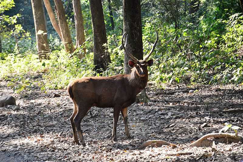 Uttarakhand, Top States That Are Promoting Eco-tourism In India