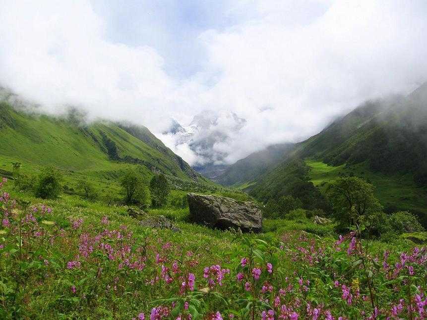 valley of flowers uttarakhand best time to visit