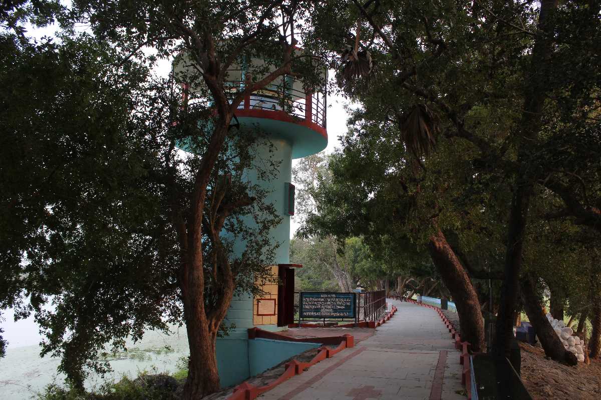 Vedanthangal Bird Sanctuary Watch Tower