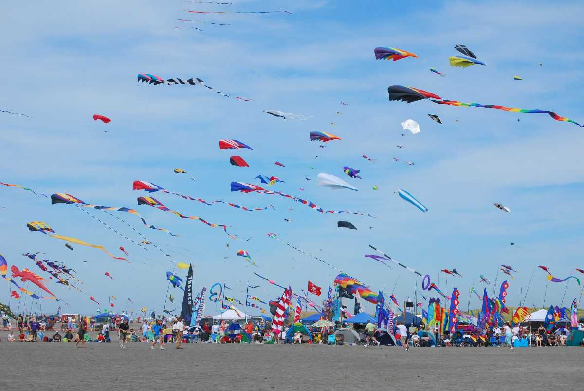 International Kite Festival Ahmedabad - 2020 Dates, Venue, Photos