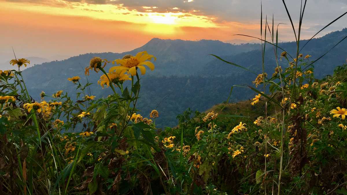 Summer Season, Kurseong, Sunset