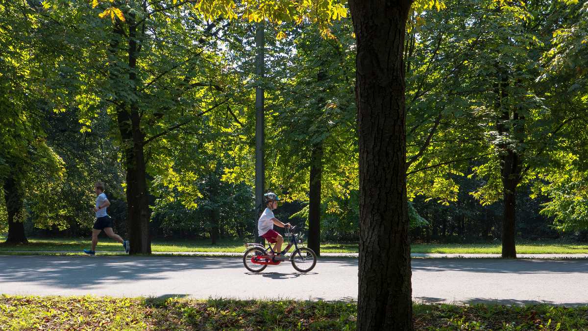 park, prater, stadtpark, child cycling