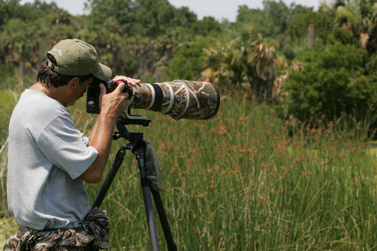 Wildlife Photographer