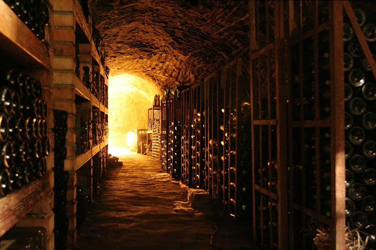 wine cellar, naschmarkt