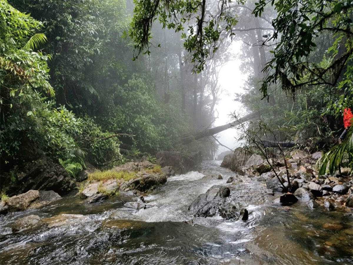 places to visit near agumbe