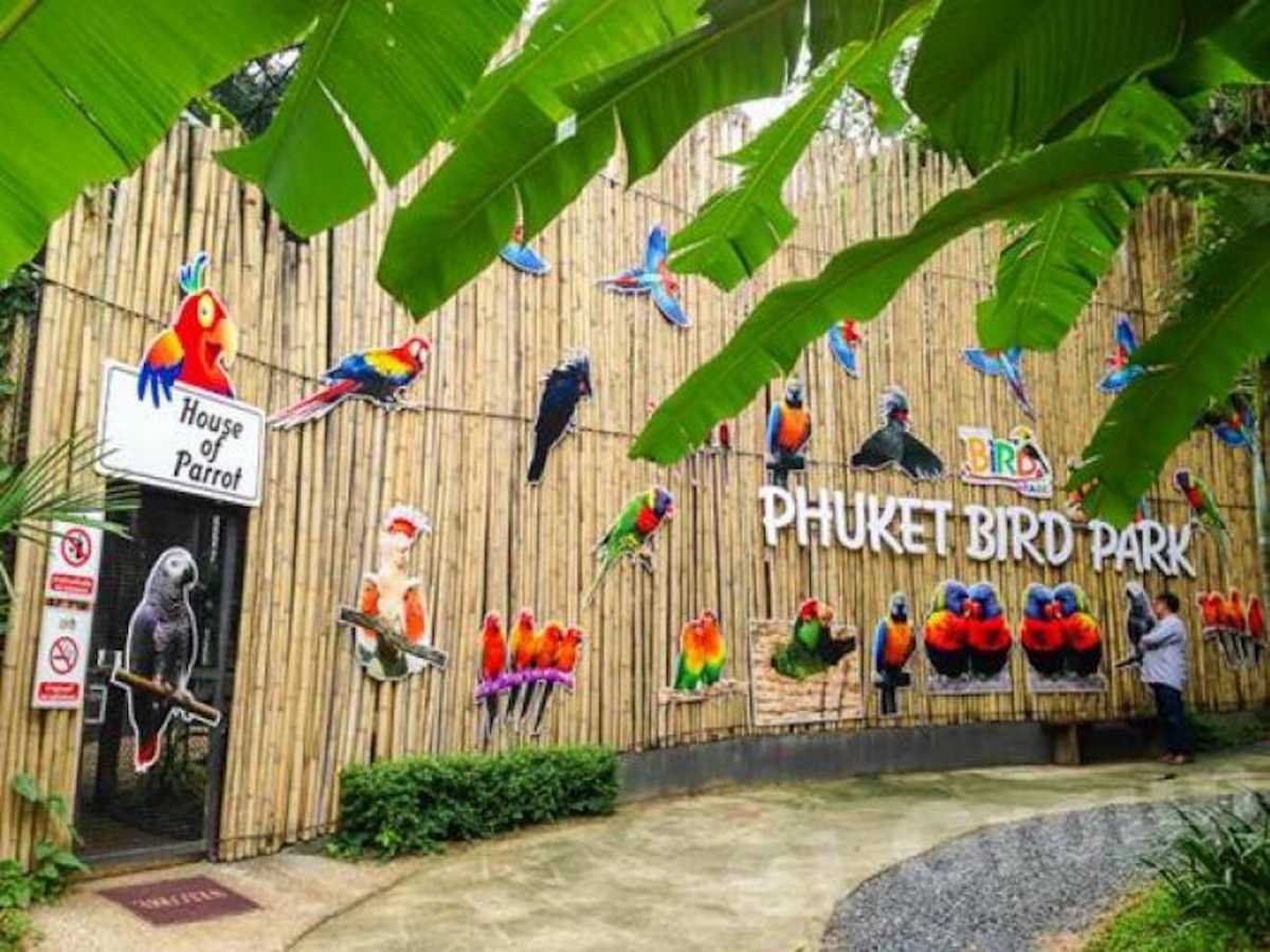 Phuket Bird Park, Chalong