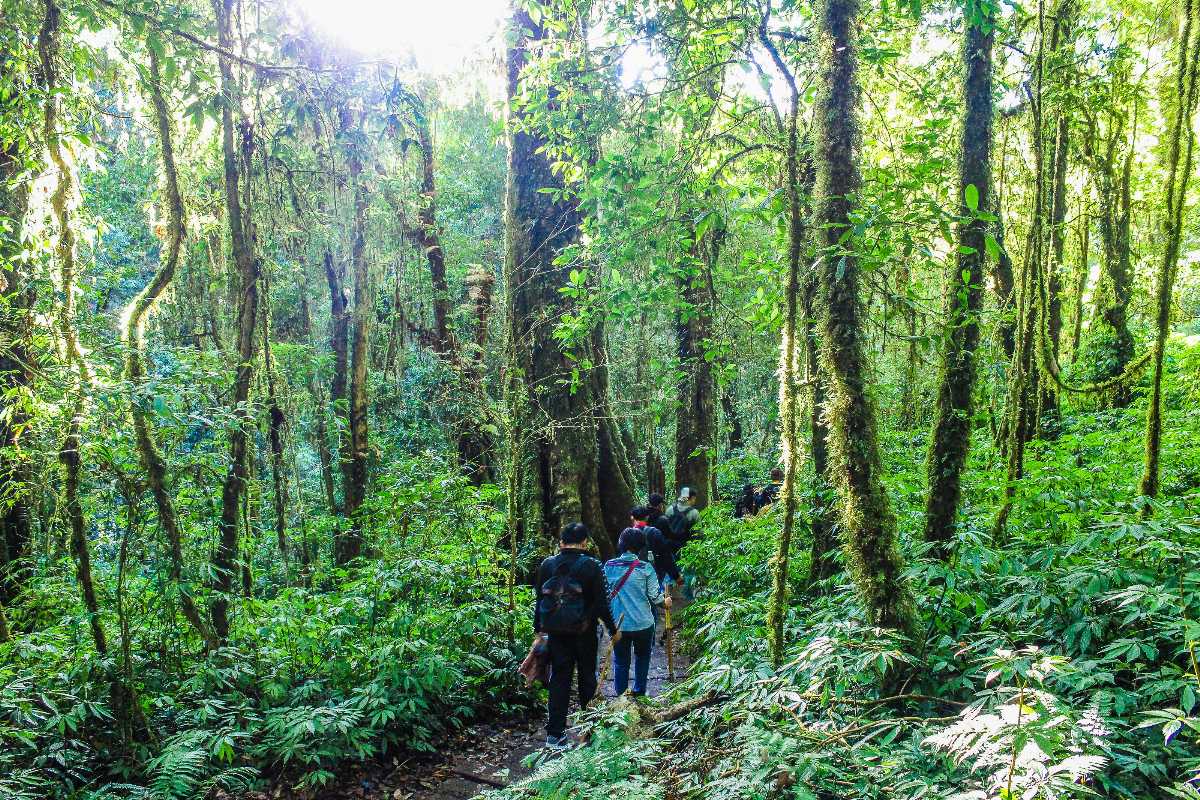 Hiking in Khao Sok National Park Thailand