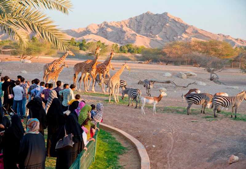 Al Ain Zoo, Al Ain, UAE - Timings, Entry Fee - Holidify