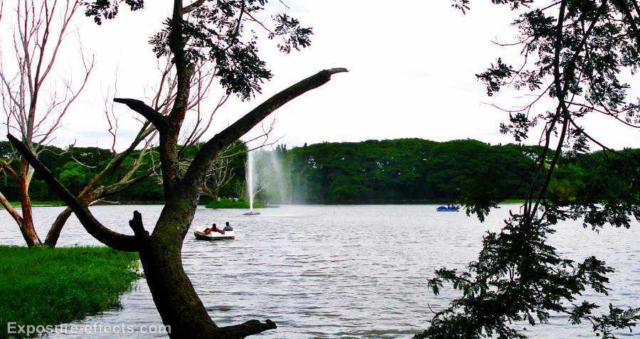 hånd Gemme Guinness Karanji Lake, Mysore | Timings, Boating, Entry Fee