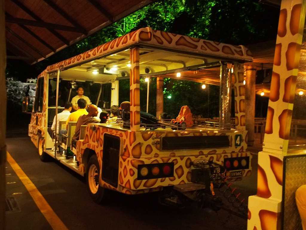 Singapore Night Safari - World's First Nocturnal Zoo - Holidify