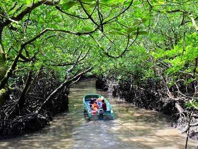 Boat ride to the caves