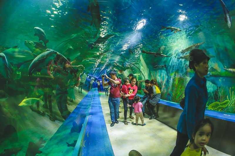 Aquarium at Bao Son Paradise Park Hanoi Vietnam