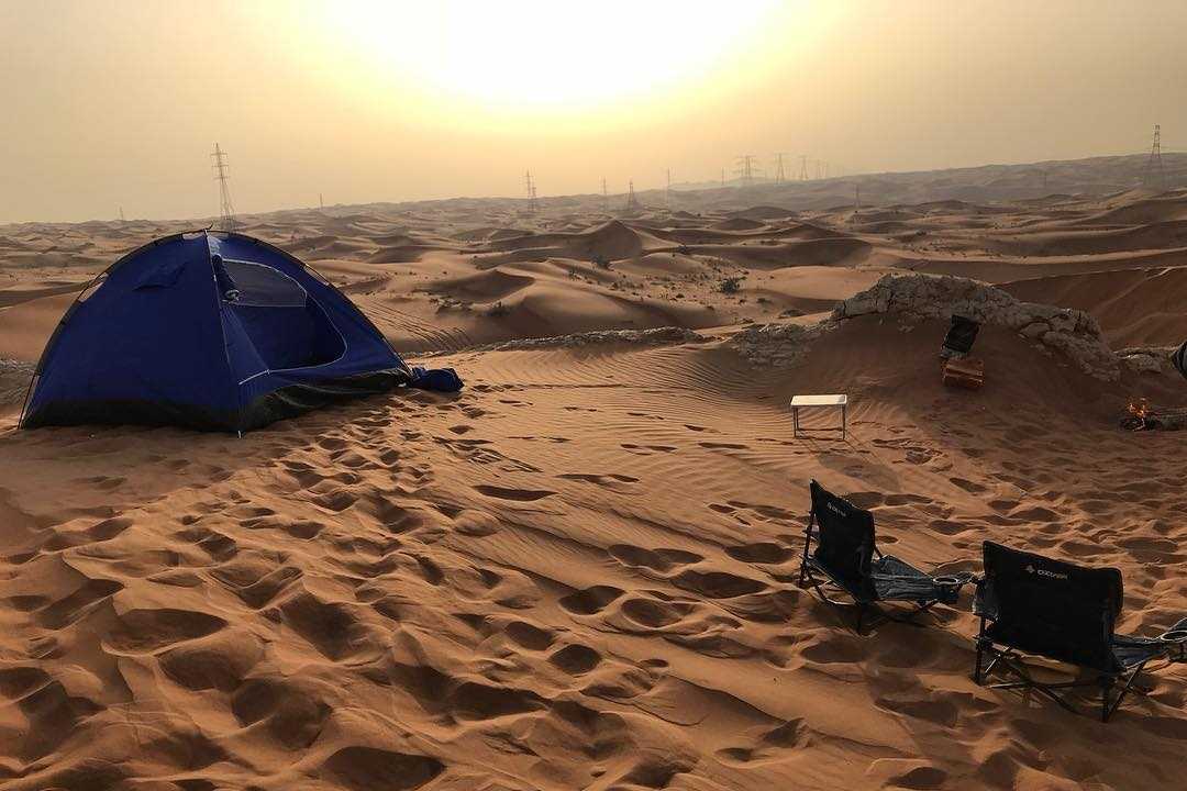 Liwa Forest