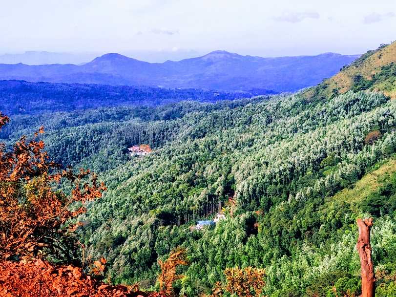 The Green-Clad Hills of Chikmagalur