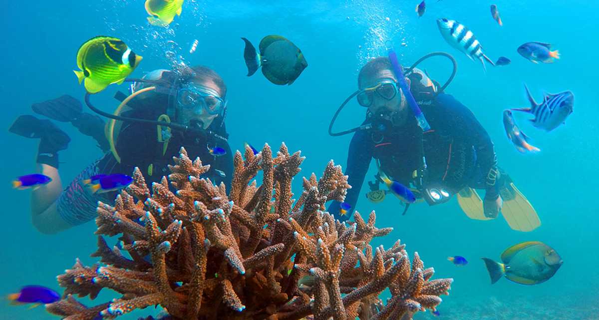 Scuba Diving in Seychelles