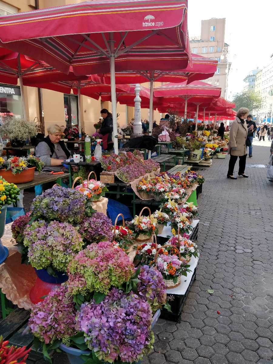 Croatia Market