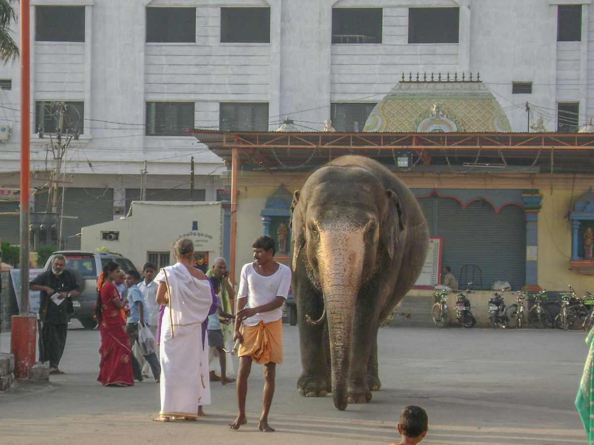 Mantralayam - Dr Murali Mohan