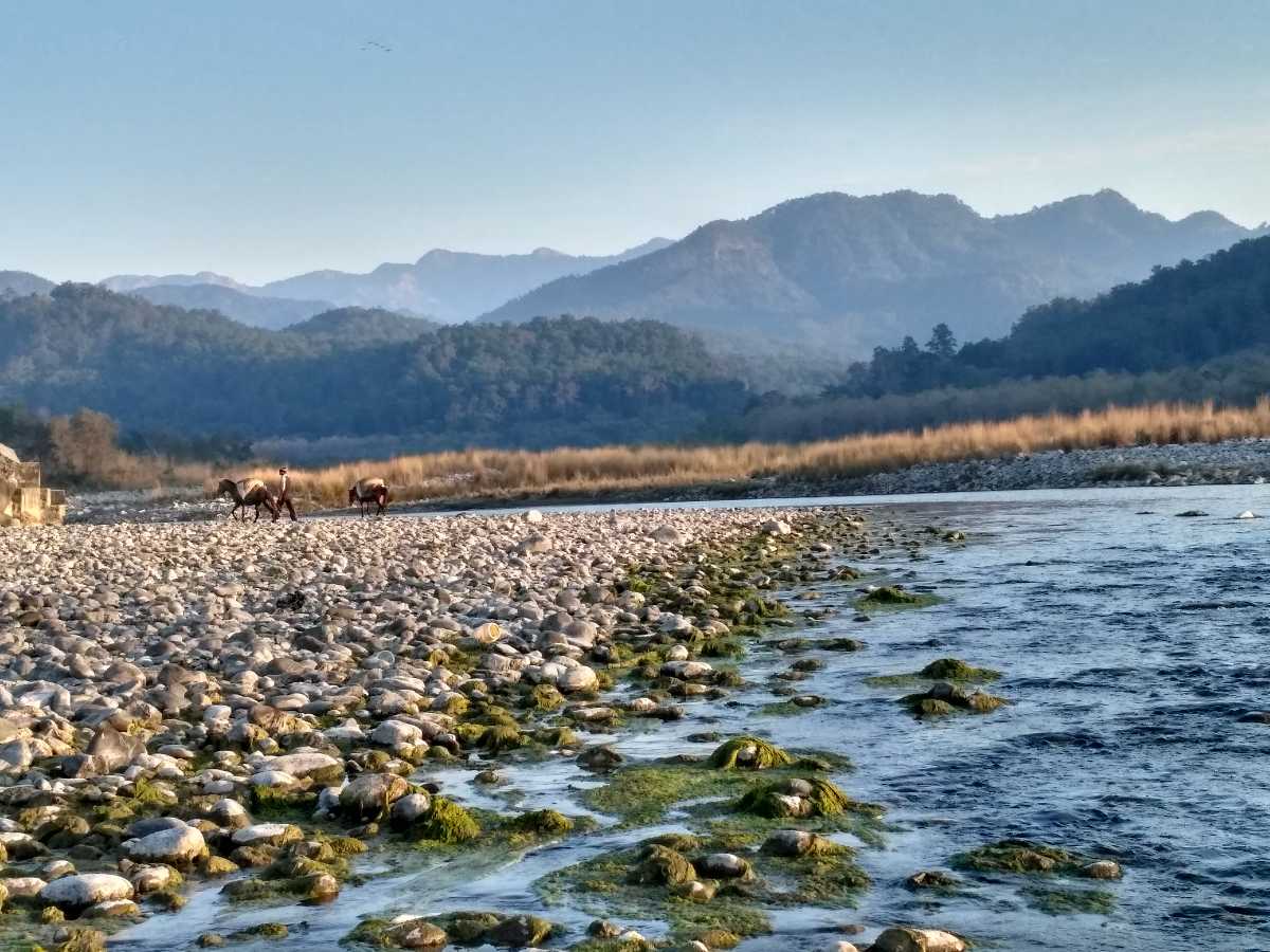 Kosi River, Jim Corbett National Park