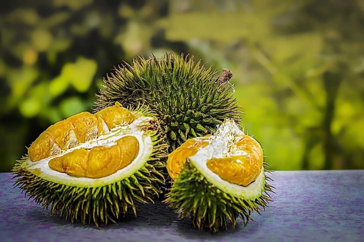 10 Fruits Of Malaysia You Can T Help But Gorge Holidify