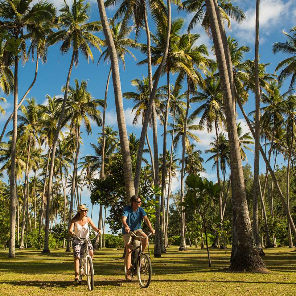 Cycling Tours in North Island