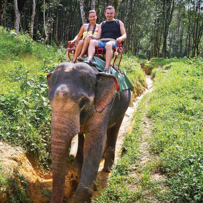 Samui Elephant Sanctaury, Family Places in Koh Samui