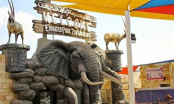 6 Zoos in Dubai For A Widlife Adventure