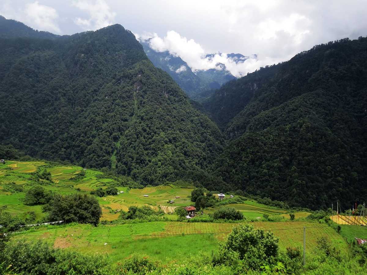 Biodiversity of Bhutan